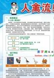 <b>h7n9С</b>
