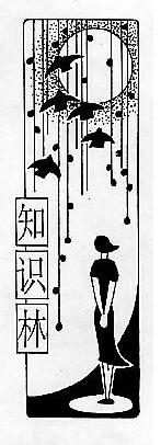 ֪ʶֺڰ屨ͷƷ֪ʶ֣