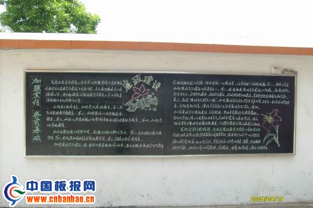 ǿԱ罨ڰ屨ͼƬ2