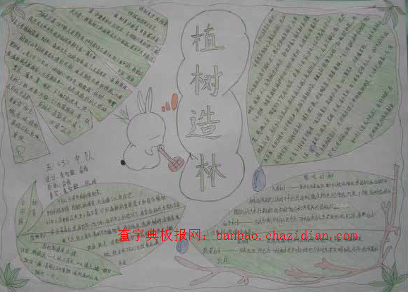 有关植树造林手抄报