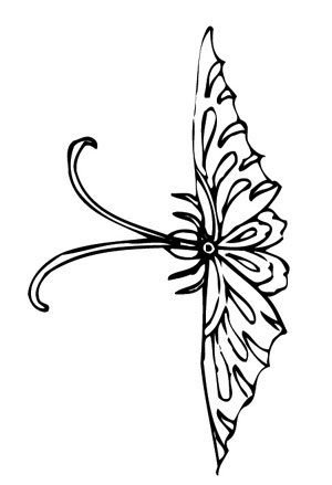 ļ:AI_dongfei118.jpg  ߴ:300×439