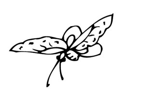 ļ:AI_dongfei120.jpg  ߴ:300×200