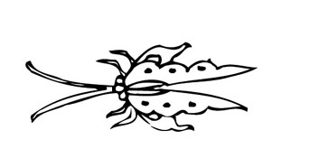 ļ:AI_dongfei184.jpg  ߴ:364×175