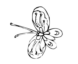 ļ:AI_dongfei055.jpg  ߴ:322×264