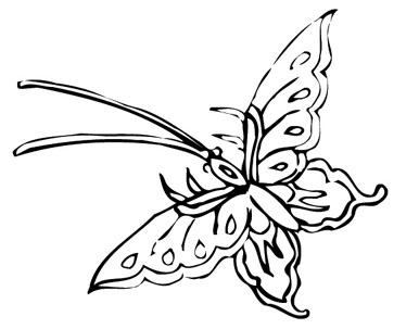 ļ:AI_dongfei040.jpg  ߴ:386×303