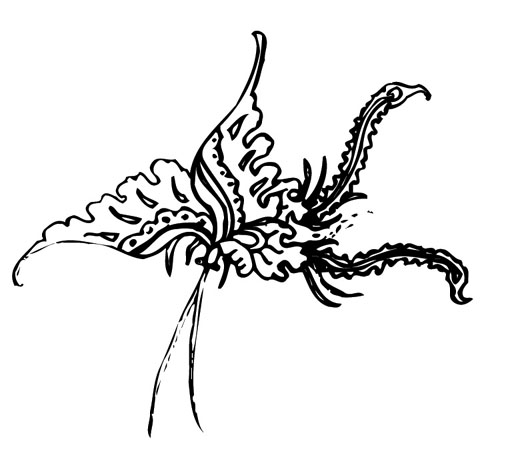 ļ:AI_dongfei039.jpg  ߴ:514×455