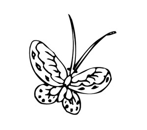 ļ:AI_dongfei085.jpg  ߴ:300×264