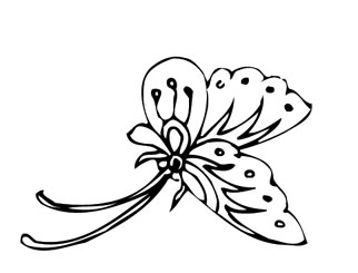 ļ:AI_dongfei088.jpg  ߴ:322×245