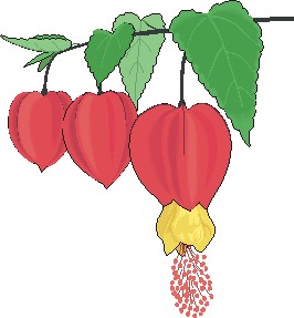 �ڰ屨�����ͼ2