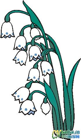 ʮһƯʵõĺڰ屨ͼ3