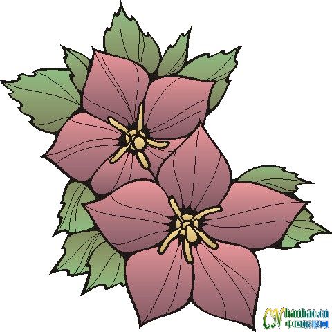 ʮһƯʵõĺڰ屨ͼ1