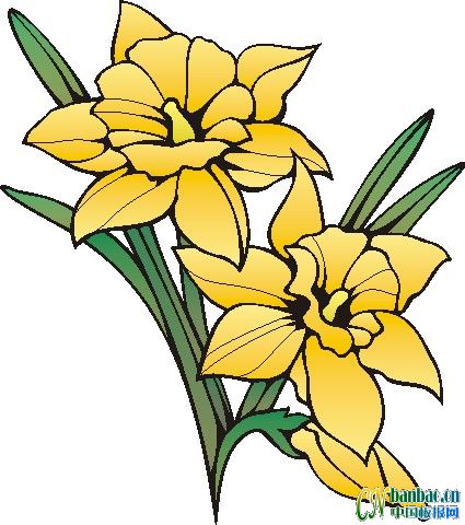 ʮһƯʵõĺڰ屨ͼ4