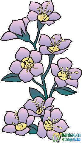 ʮһƯʵõĺڰ屨ͼ2