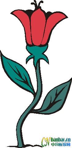 ʮһƯʵõĺڰ屨ͼ5