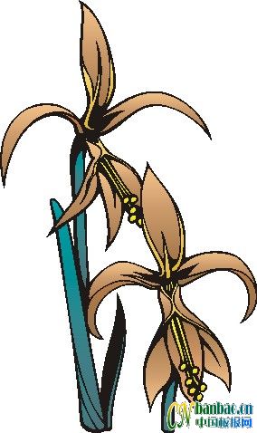 ʮһƯʵõĺڰ屨ͼ8