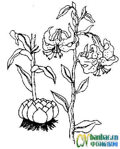 11źڰ屨ڰװ滨Сͼ11