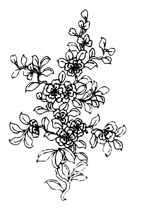 ļ:AI_huacao152.jpg  ߴ:469×678