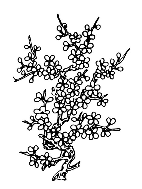 ļ:AI_huacao141.jpg  ߴ:469×625