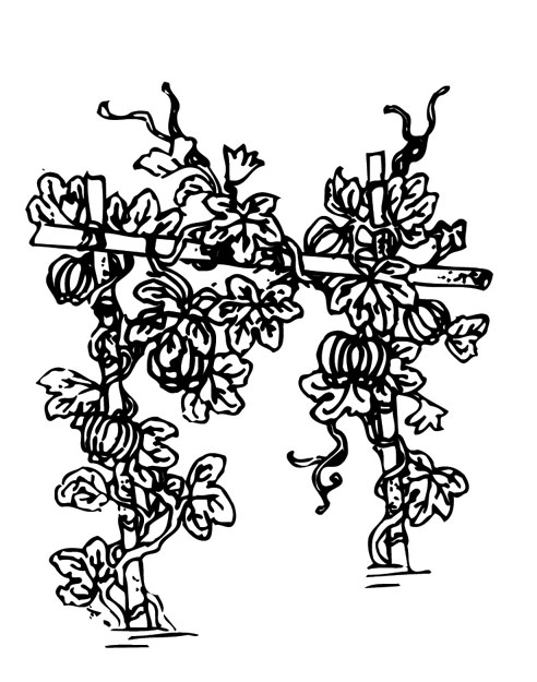 ļ:AI_huacao146.jpg  ߴ:492×625