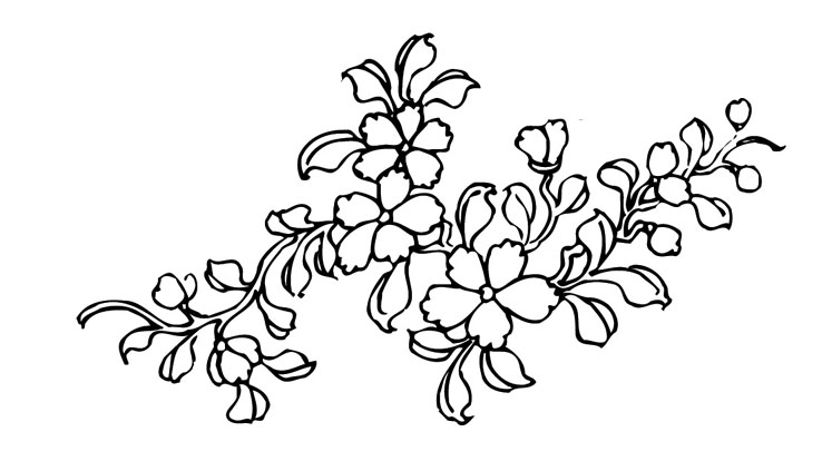 ļ:AI_huacao147.jpg  ߴ:747×414