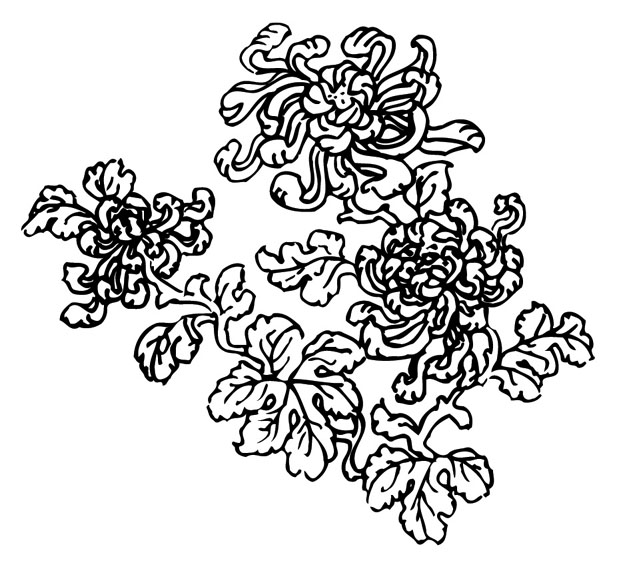 ļ:AI_huacao162.jpg  ߴ:619×567