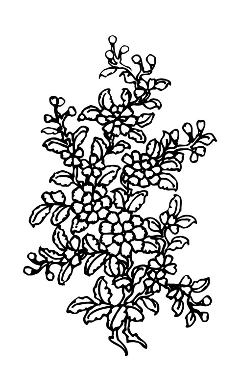 ļ:AI_huacao170.jpg  ߴ:492×764