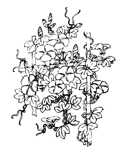 ļ:AI_huacao161.jpg  ߴ:555×642