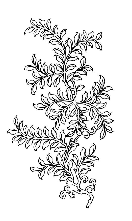 ļ:AI_huacao181.jpg  ߴ:533895