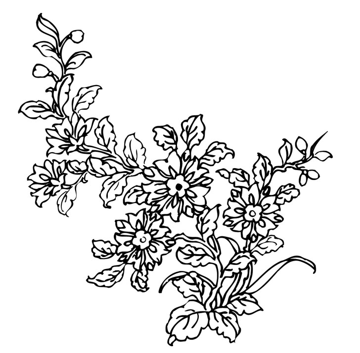 ļ:AI_huacao186.jpg  ߴ:728714