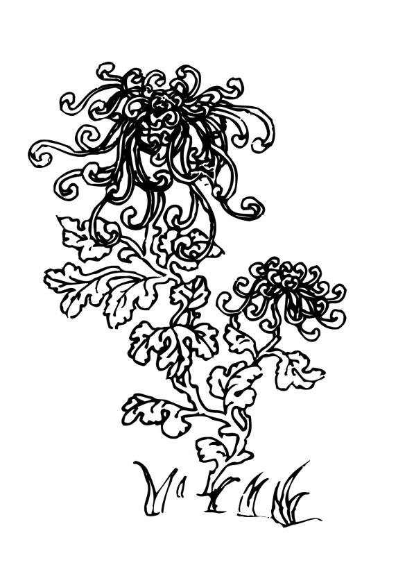 ļ:AI_huacao183.jpg  ߴ:597817