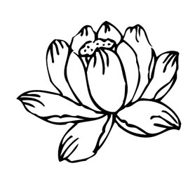 ļ:AI_huacao293.jpg  ߴ:278×259