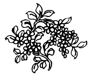 ļ:AI_huacao300.jpg  ߴ:322×250