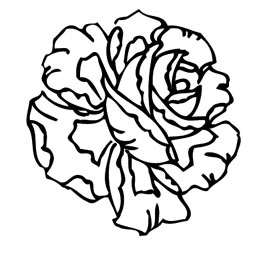 ļ:AI_huacao288.jpg  ߴ:259×259