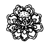 ļ:AI_huacao248.jpg  ߴ:214181