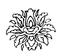 ļ:AI_huacao255.jpg  ߴ:236192