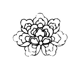 ļ:AI_huacao272.jpg  ߴ:259×205