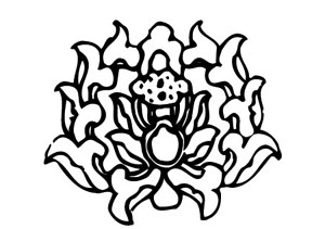 ļ:AI_huacao279.jpg  ߴ:300×211