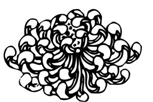 ļ:AI_huacao278.jpg  ߴ:300×200