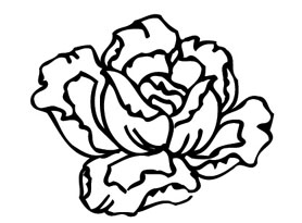 ļ:AI_huacao275.jpg  ߴ:278×205