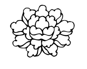 ļ:AI_huacao281.jpg  ߴ:278×222