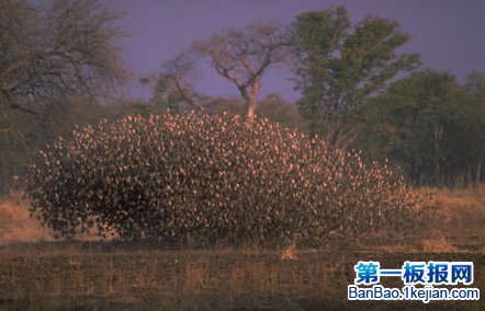 ����������������