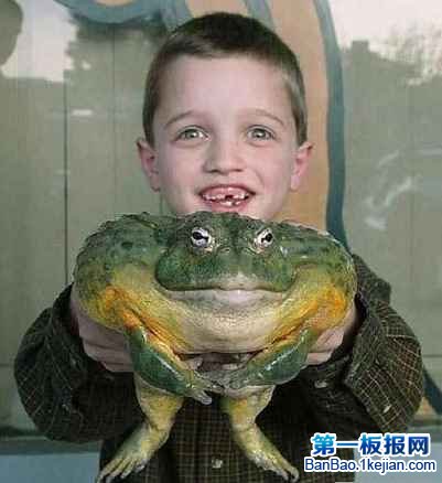 ��������������