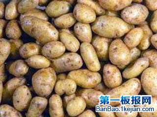 ��������������