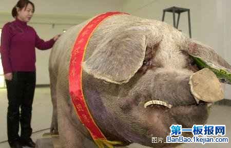 ������������