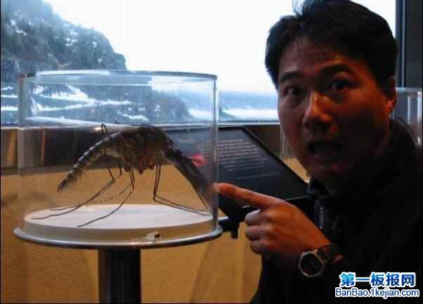 ��������������