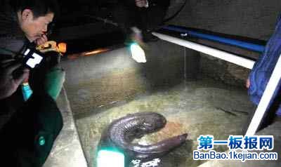 ����������������