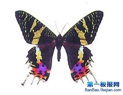 ��������������������