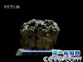 世界上最贵的泥巴