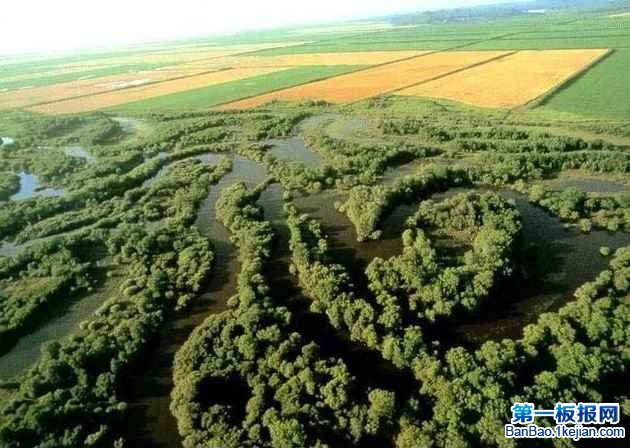最湿润的草地——沼泽