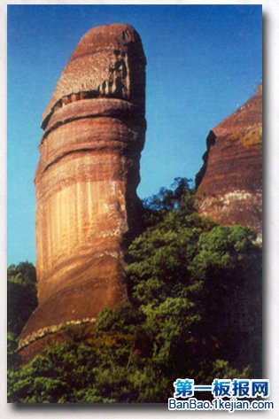 世界上最大的阴茎